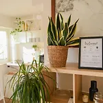White Lotus Apartment Rome