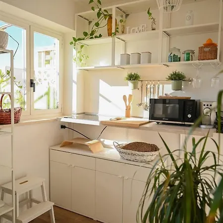 Apartamento White Lotus Roma