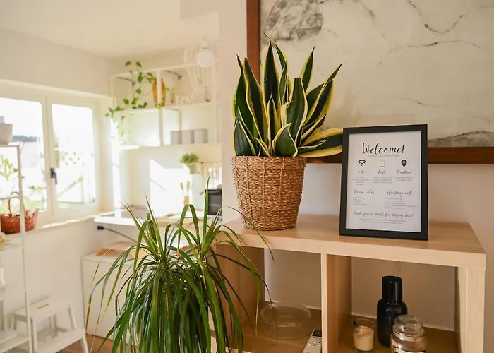 White Lotus Apartment Rom