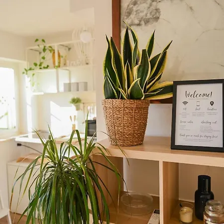 White Lotus Apartment Rome