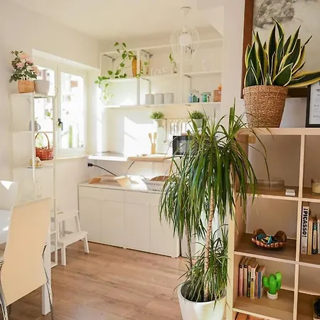 White Lotus Apartment *